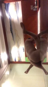 [原创]调教广佛骚逼1