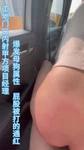 工地门口车震项目经理 内射母狗骚逼 最后哭了